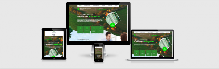 Земля в Вашутино