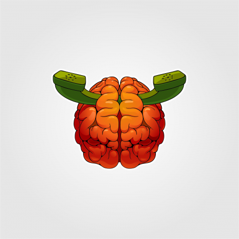 Мозг иконка