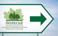 "Полесье"