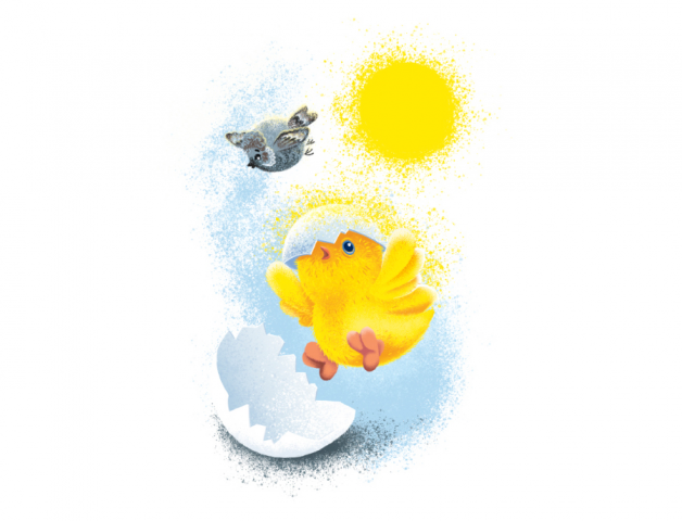 Иллюстрация для упаковки