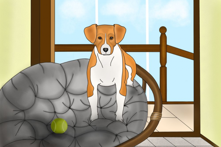 Иллюстрация