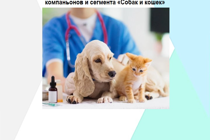  МИ рынка ветеринарных препаратов для собак и кошек