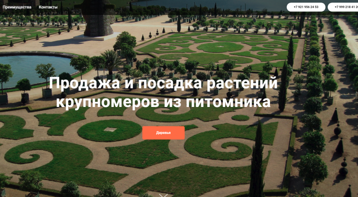Питомник растений_Настройка Яндекс Директ и Google Ads