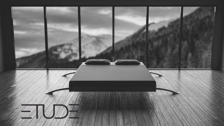 Логотип для студии дизайна интерьера