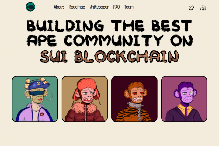 Верстка сайта