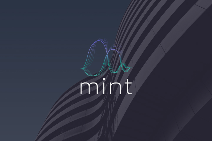 Mint, маркетинговые исследования