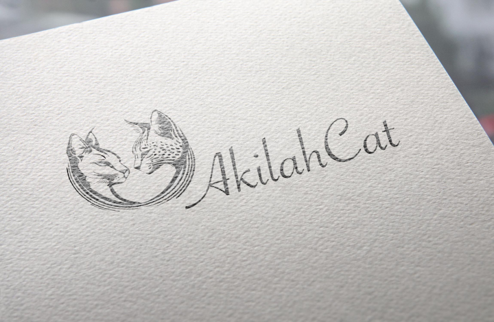 AkihalCat
