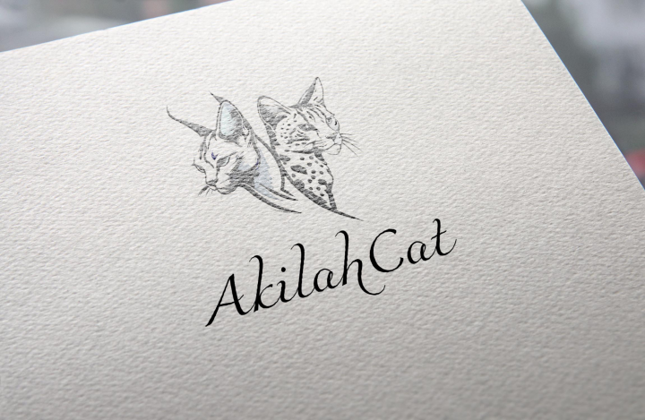 AkilahCat