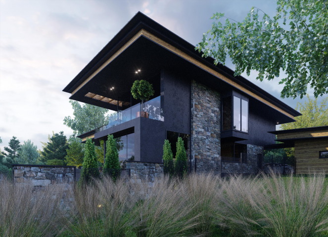 Дом под Киевом