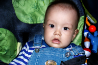 Работа 2853872