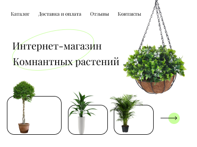 Интернет-магазин Комнатных Растений
