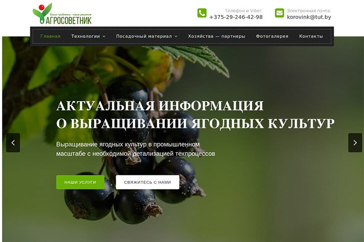 Сайт Агросоветник
