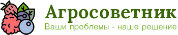 Компания Агросоветник