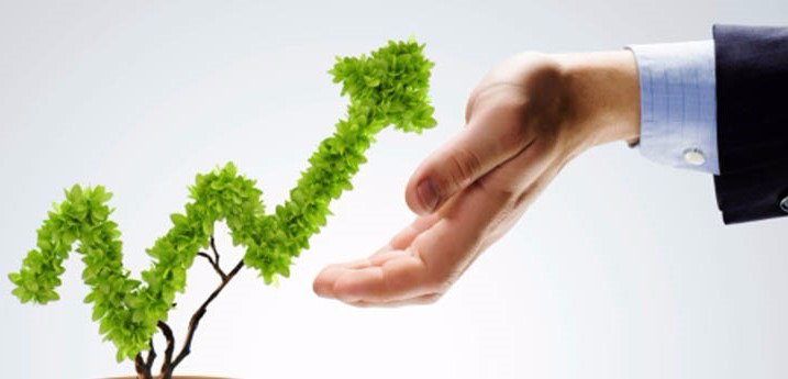 Инвестиционный вектор