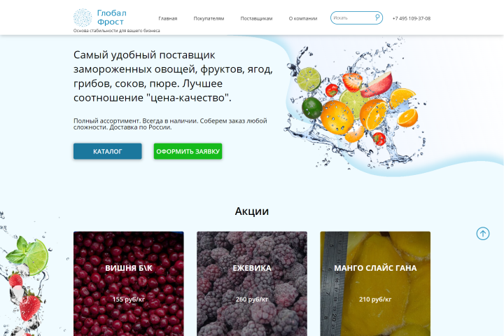 Разработка сайта Глобал Фрост