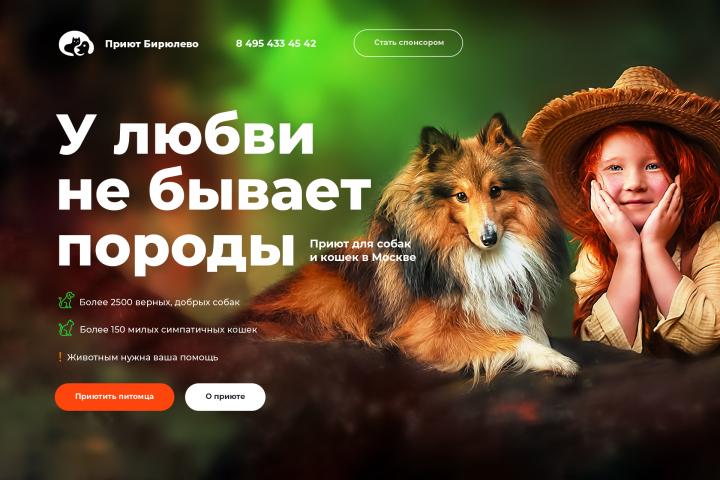 Landing Page. Приют для животных