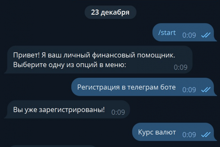Финансовый Telegram-бот — личный помощник в управлении бюджетом