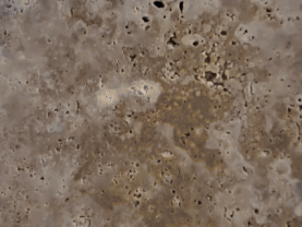 Рилс для салона света