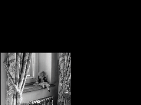 Рилс для сети салонов штор