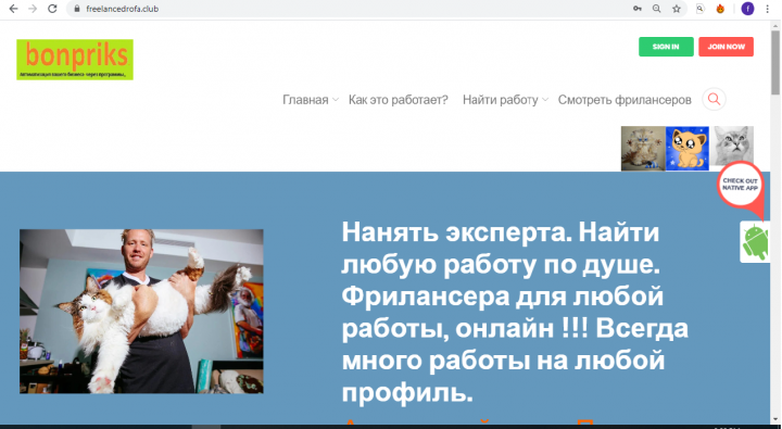 https://freelancedrofa.club