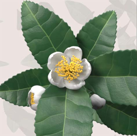 Моющий гель для интимной гигиены Гинокомфорт