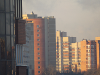 Работа 1793856