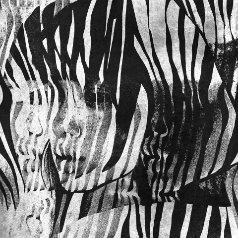 Цифровой коллаж