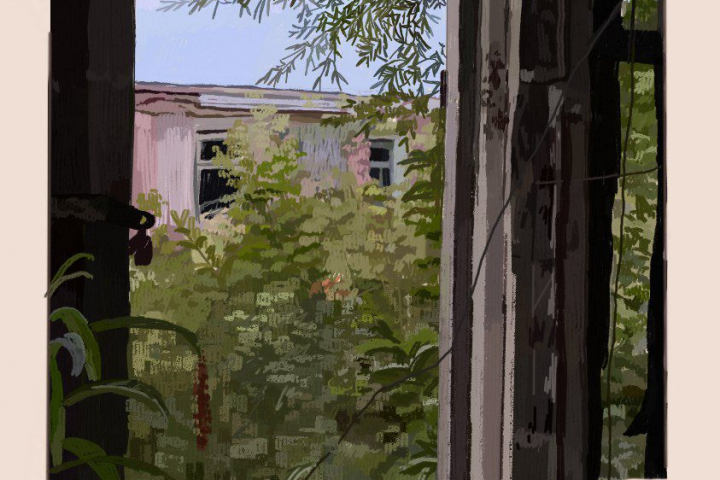 колода