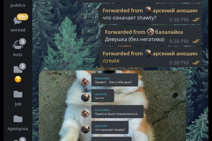 Телеграм бот - визуализатор фотографий