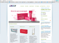 Аудит и план развития сайта компании "РИА Панда"