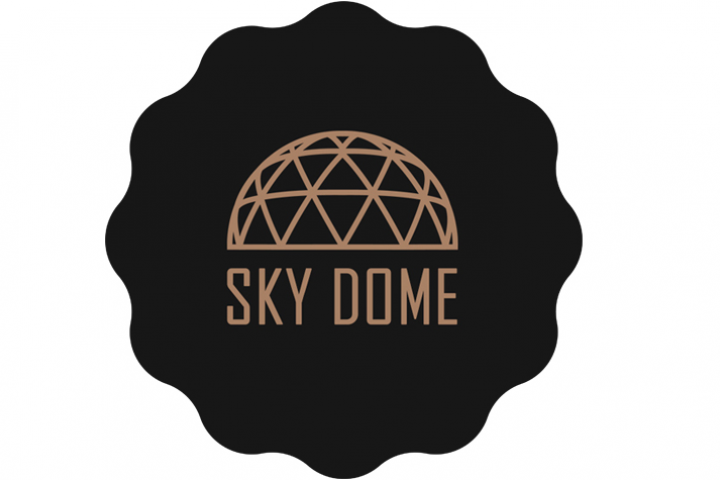 Логотип SkyDome