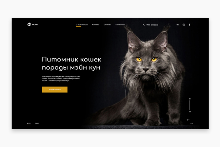 Питомник котов