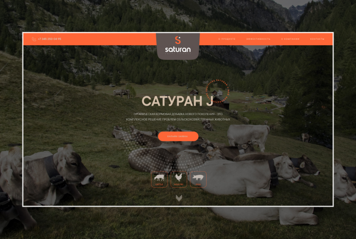 Landing page для компании Сатуран J