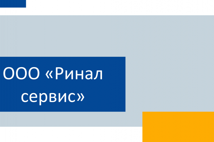 Маркетинговая стратегия РИнал Сервис