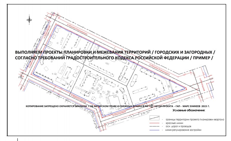 pic3161431.jpg