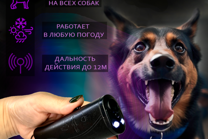 инфографика