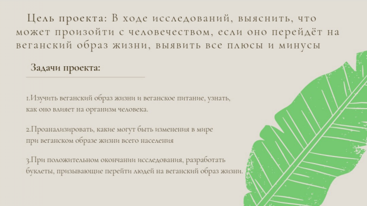 Презентация для защиты итогового проекта в 10 классе