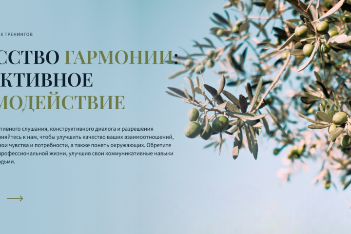 Промо веб-баннер 6