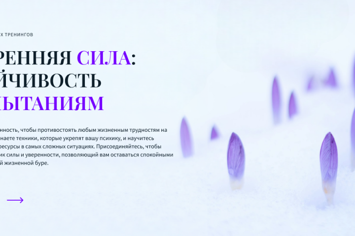 Промо веб-баннер 5