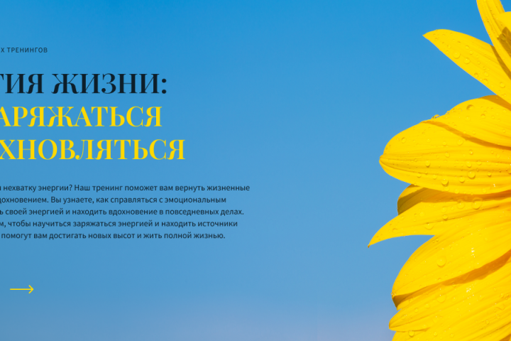 Промо веб-баннер 4