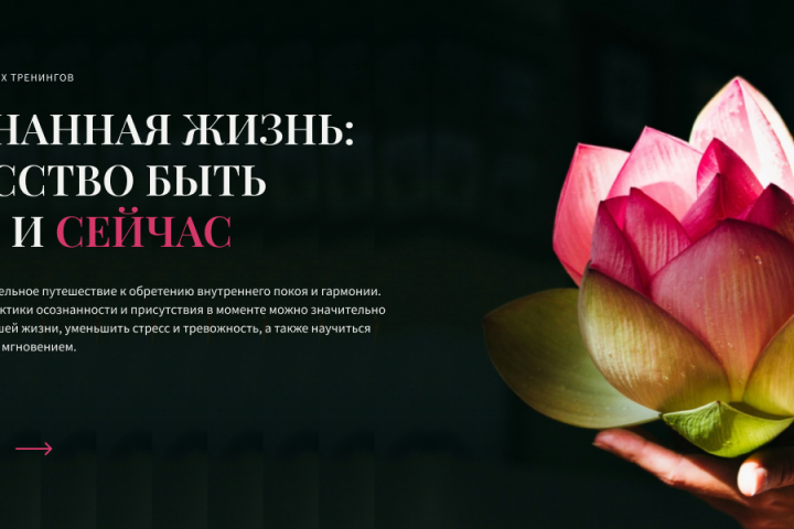 Промо веб-баннер 3