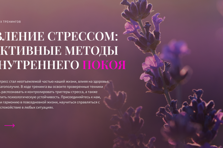 Промо веб-баннер 2