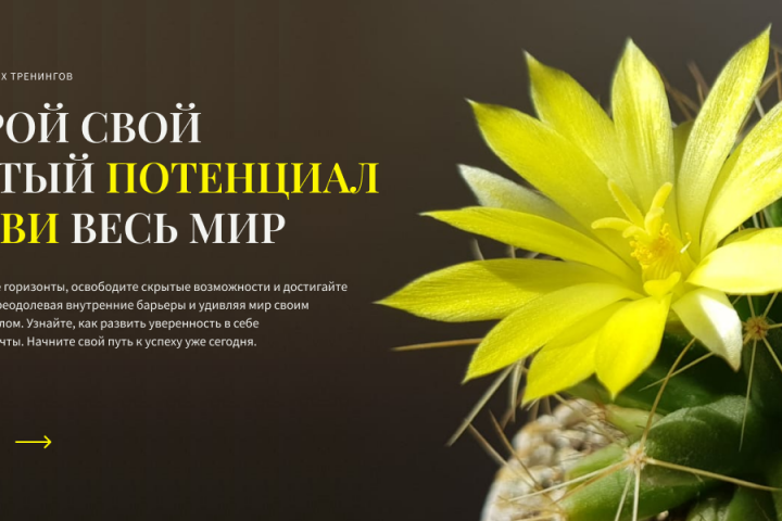 Промо веб-баннер 1