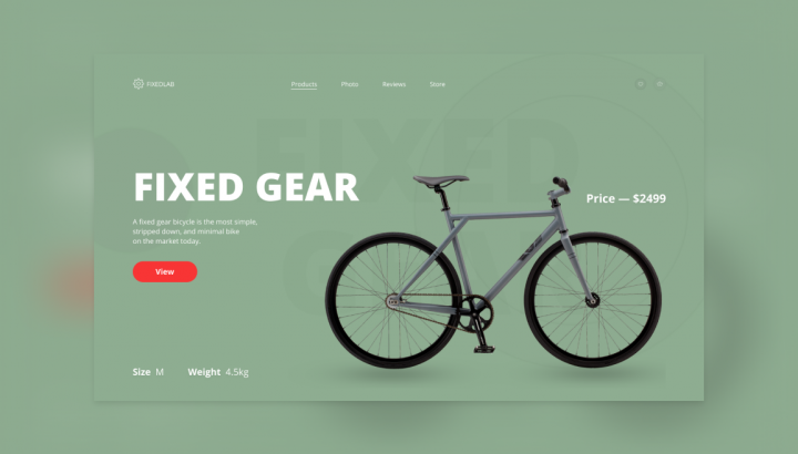 Fixed Gear