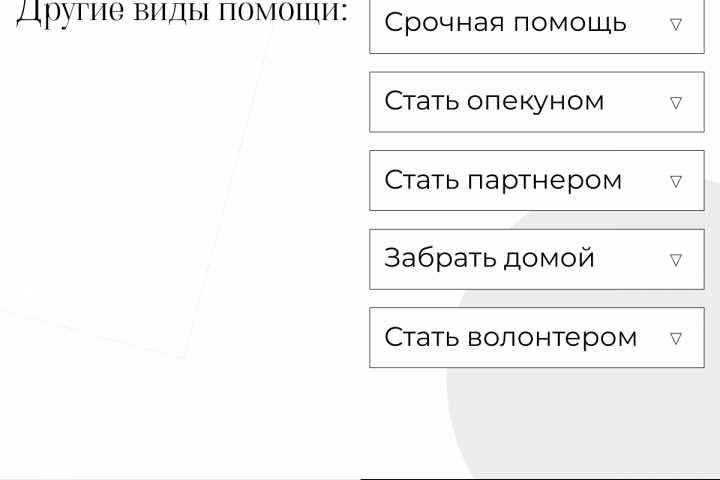 Дизайн сайта для приюта