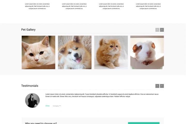 Дизайн из Pinterest