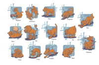 Кошачье-собачий гороскоп