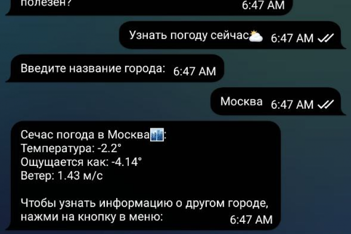 Бот для получения погоды.