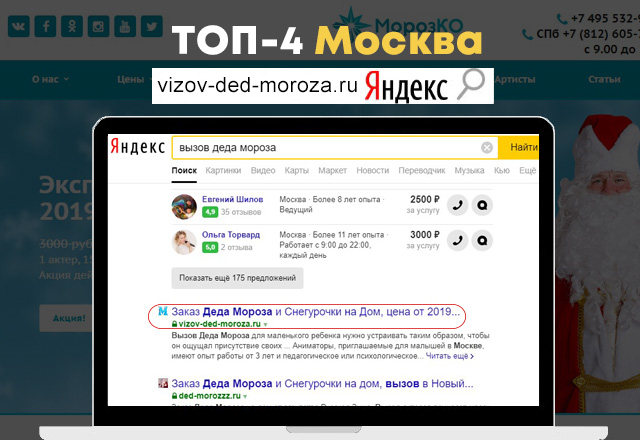 SEO Дед мороз на дом