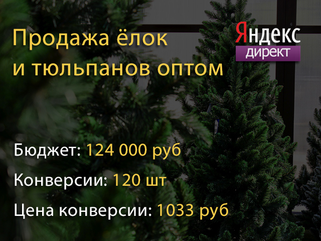 Продажа елок и тюльпанов оптом